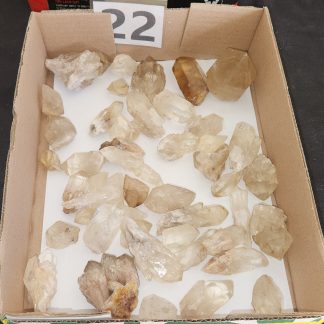 Natural Citrine Quartz Crystal from Congo     Lauren Thompson