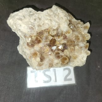 Smoky Phantom Quartz Crytsal Cluster from Zambia    Tyler Smith