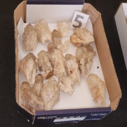 Natural Citrine from Congo     Alli Bolla