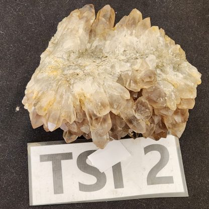 Smoky Phantom Quartz Crystal Cluster from Zambia    Congrats on your TSI Amy Simon