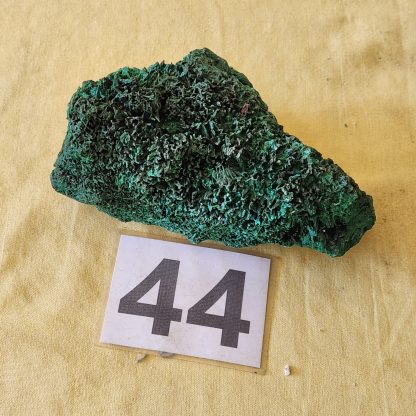 Silky Malachite from Congo          Amy Simon