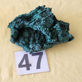 Botryoidal Malachite from Congo    Amy Simon