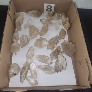 Natural Citrine Quartz Crystals from Congo    Amy Simon