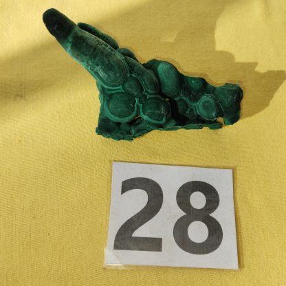 Malachite Stalactite from Congo    Amy Simon