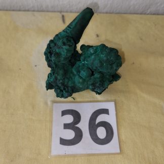 Malachite Stalactite from Congo    Shell Lee