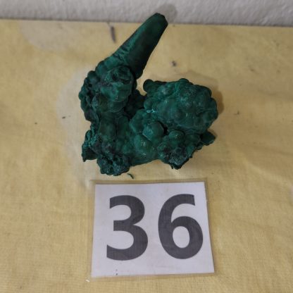 Malachite Stalactite from Congo    Shell Lee