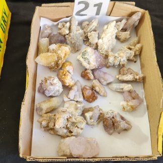 Assorted Spirit Quartz Crystals     Amy Simon
