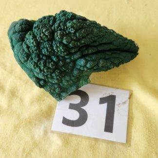 Botryoidal Malachite from Congo      Amy Simon