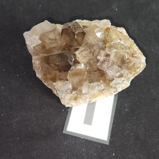 Smoky Quartz Crystal Cluster from Orange River   Amy Simon