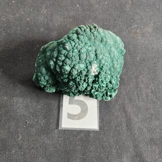 Botryoidal Malachite from Congo    Tyler Smith