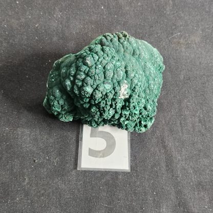 Botryoidal Malachite from Congo    Tyler Smith