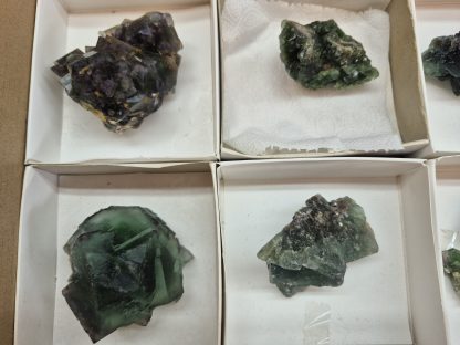 (WM05066) One Box Of 7 Fluorite Mineral Specimens From Okorusu  Namibia - Image 3