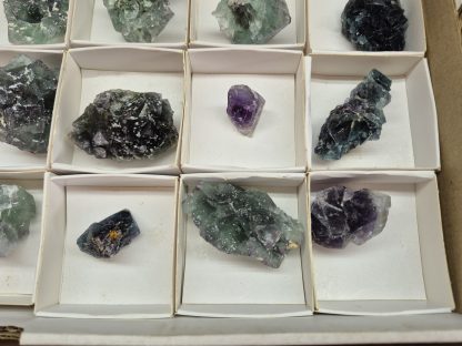 (WM05042) One Box Of 27 Okorusu Fluorite Mineral Specimens From Namibia - Image 5