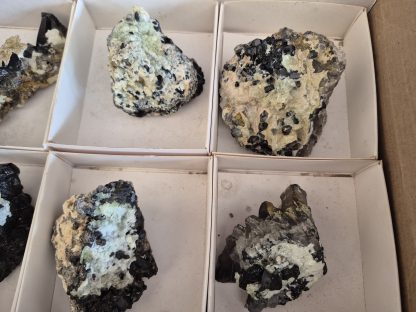 (WM05064) One Box Of 6 Hyaline Opel And Black Tourmaline Quartz From Erongo Namibia - Image 4