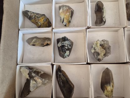 (WM05063) One Box Of 12 Smoky Dogtooth Crystals With Hyaline Opel From Erongo Namibia - Image 3