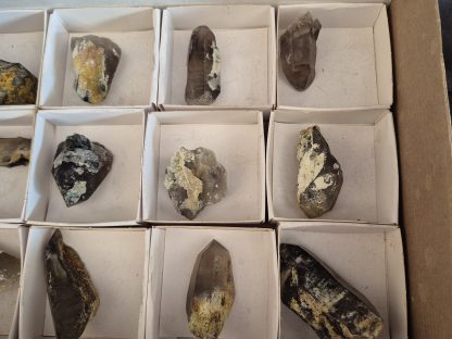 (WM05063) One Box Of 12 Smoky Dogtooth Crystals With Hyaline Opel From Erongo Namibia - Image 4