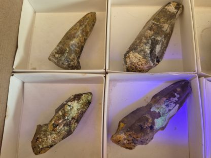 (WM05062) One Box Of 6 Smoky Dogtooth Crystals With Hyaline Opel From Erongo Namibia - Image 4
