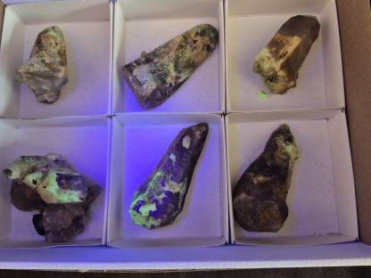 (WM05061) One Box Of 6 Smokey Dogtooth Crystals With Hyaline Opel From Erongo Namibia