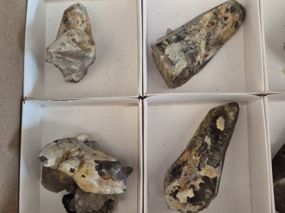 (WM05061) One Box Of 6 Smokey Dogtooth Crystals With Hyaline Opel From Erongo Namibia - Image 3