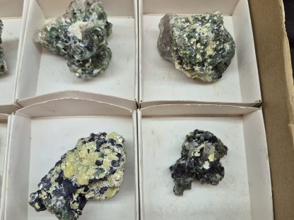 (WM05060) One Box Of 6 Fluorite And Golden Muscovite Mineral Specimens From Erongo Namibia - Image 3