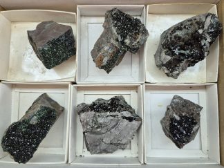 (WM05058) One Box Of 6 Libethenite Mineral Specimens From Congo