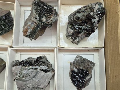 (WM05058) One Box Of 6 Libethenite Mineral Specimens From Congo - Image 4