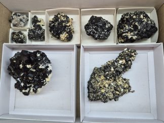 (WM05054) One Box of 9 Black Tourmaline And Feldspar Mineral Specimens From Namibia