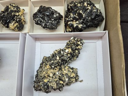 (WM05054) One Box of 9 Black Tourmaline And Feldspar Mineral Specimens From Namibia - Image 4