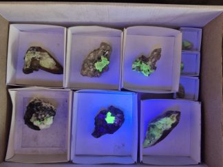 (WM05051) One Box Of 10 Hyaline Opel With Black Tourmaline Mineral Specimens From Namibia