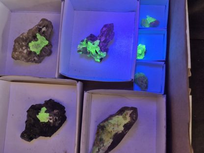 (WM05051) One Box Of 10 Hyaline Opel With Black Tourmaline Mineral Specimens From Namibia - Image 3