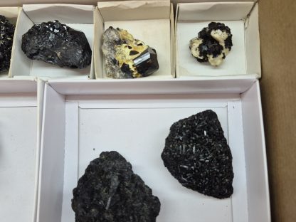 (WM05050) One Box Of 8 Black Tourmaline Mineral Specimens From Erongo Namibia - Image 4