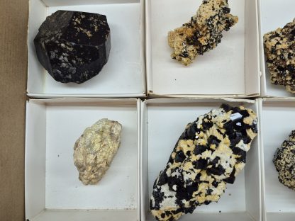 (WM05049) One Box Of 6 Black Tourmaline Mineral Specimens From Erongo Namibia - Image 3