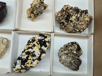 (WM05049) One Box Of 6 Black Tourmaline Mineral Specimens From Erongo Namibia - Image 4