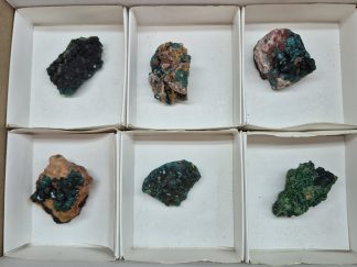 (WM05048) One Box Of 6 Dioptase Mineral Specimens From Congo