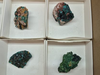(WM05048) One Box Of 6 Dioptase Mineral Specimens From Congo - Image 4