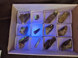 (WM05044) One Box 12 Smoky Dogtooth With Hyaline Opel From Erongo Namibia