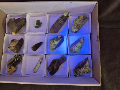 (WM05044) One Box 12 Smoky Dogtooth With Hyaline Opel From Erongo Namibia - Image 3