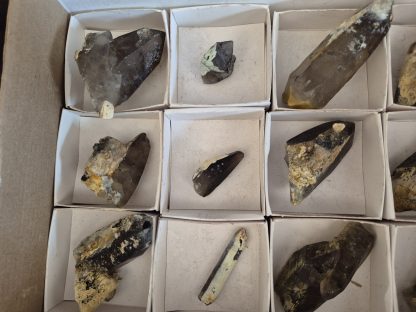 (WM05044) One Box 12 Smoky Dogtooth With Hyaline Opel From Erongo Namibia - Image 5