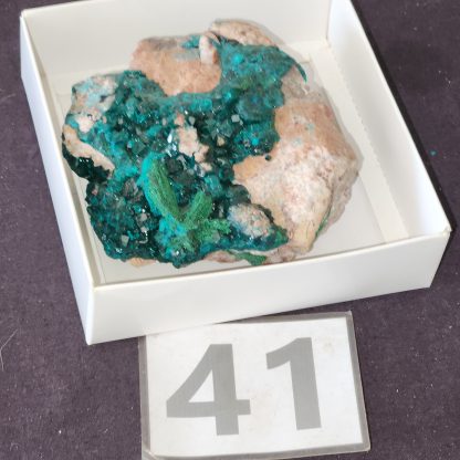 Dioptase from Congo    Shell Lee