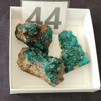 Dioptase from Congo    Shell Lee