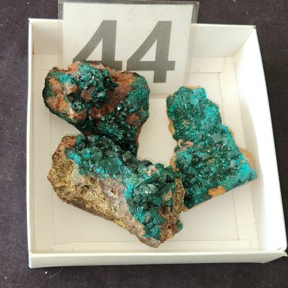 Dioptase from Congo    Shell Lee