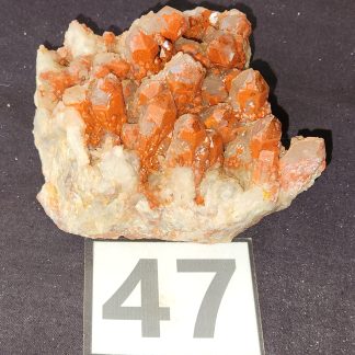 Bright Red Haematite Quartz Crystal Cluster from Orange River    Guru